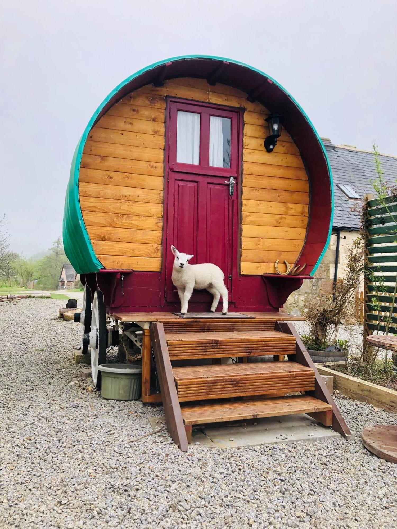 Bowtop Wagon At Lettoch Farm 키이스 외부 사진